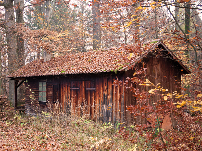 Der viel Diskutierte: The Cabin in the Woods
