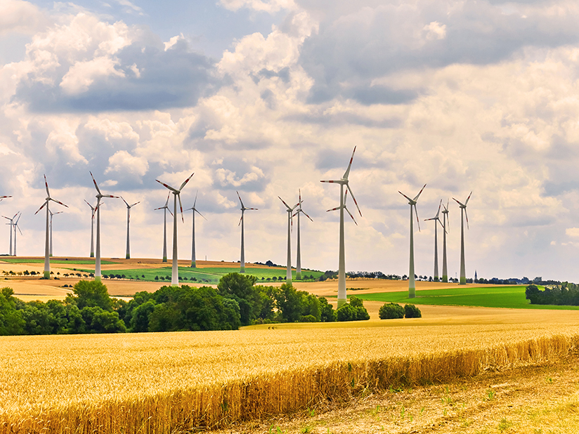 Welcher erneuerbare Energieträger wird in Deutschland am meisten genutzt?